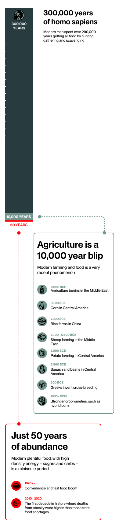 history of food - mobile